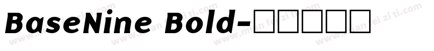 BaseNine Bold字体转换